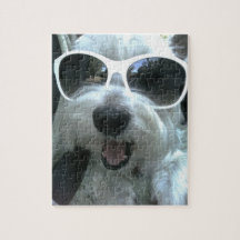 hond die zonnebril draagt