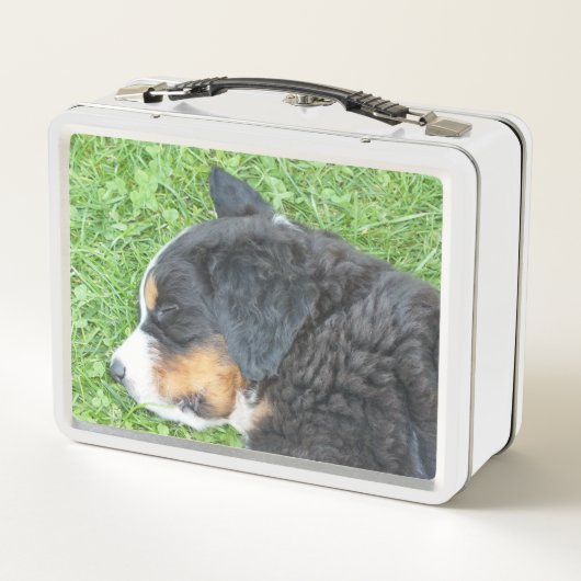 hond, dier, lunchbox, Hoesje, kleurrijk+ vaartuig, (Achterkant)