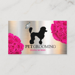 Hond Dier Pet Logo Veterinaire Kliniek Huisdier Gr Visitekaartje