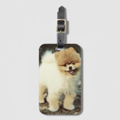 Hond, Dier, Puppy Bagagelabel (Voorkant (verticaal))