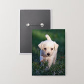 Hond, dier, puppy button (Voorkant / Achterkant)