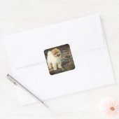 Hond, dier, puppy vierkante sticker (Envelop)