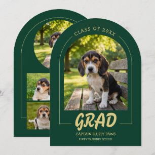 Hond Diplocein Uitnodiging Huisdier Foto's Smaragd