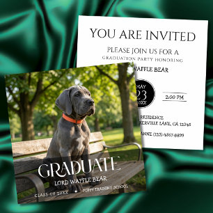 Hond Diploma Feest Uitnodiging Huisdier Foto Zwart