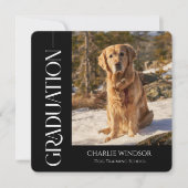 Hond Diploma Uitnodigingskaarten Zwart en wit (Voorkant)