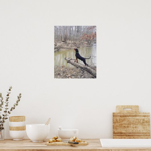 Hond Dog op het Poster (Keuken)