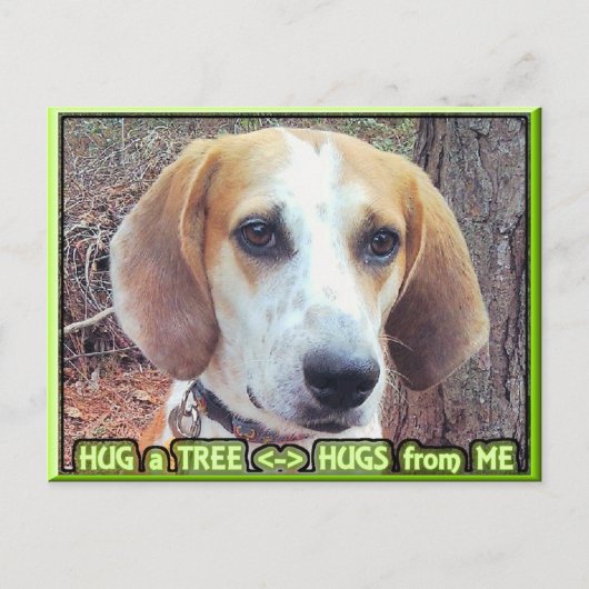 Hond Dog Tree Hugger Briefkaart (Voorkant)