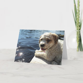 Hond door een meerwenskaart kaart