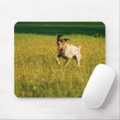 Hond door gras muismat (Met muis)