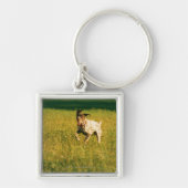 Hond door gras sleutelhanger (Voorkant)