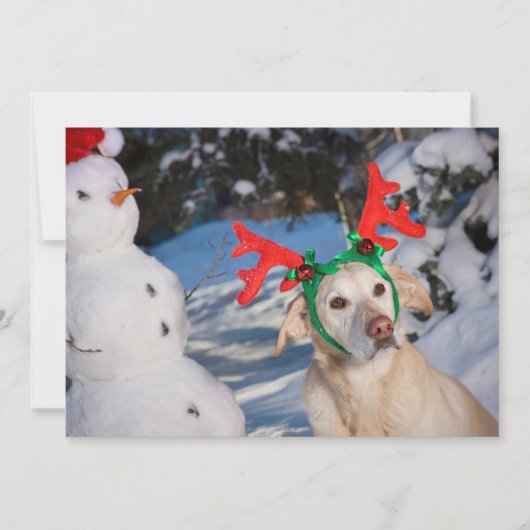 Hond draagt rendiergewei feestdagenkaart (Voorkant)