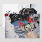 Hond draagt rendiergewei feestdagenkaart (Voorkant / Achterkant)