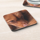 hond drankjes onderzetter (Linkerzijde)