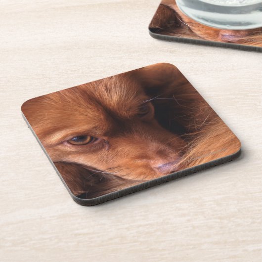 hond drankjes onderzetter (Linkerzijde)