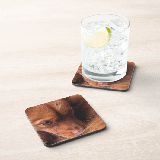 hond drankjes onderzetter (Rechterzijde)