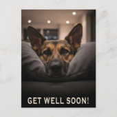 Hond Duitse Herder Herstelskaart Briefkaart (Voorkant)