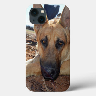 Hond Duitse Herder Kat Naps, iPhone 13 Hoes Hoesje