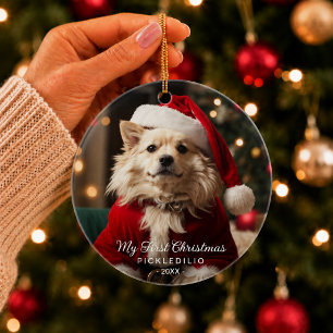 Hond eerste kerst foto ornament