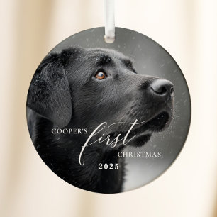 Hond Eerste Kerst Scriptie Ornament