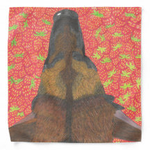 Hond en aardbei