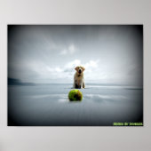 Hond en bal poster (Voorkant)