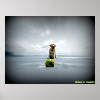 Hond en bal poster