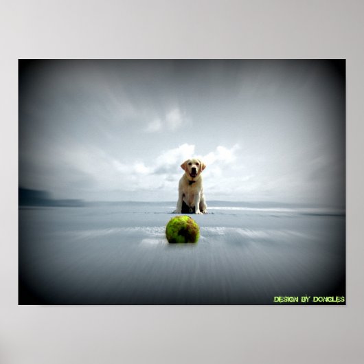 Hond en bal poster (Voorkant)