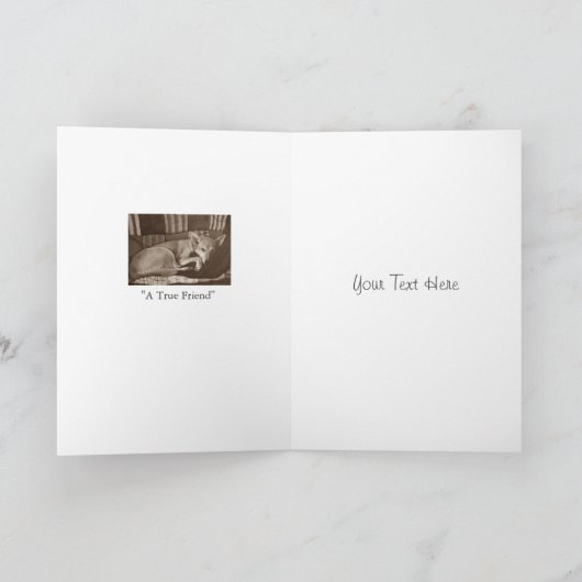 Hond en huisdier sympathie originele gedichtenkaar kaart (Binnen)