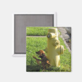 Hond en hydrant magneet (Voorkant / Achterkant)