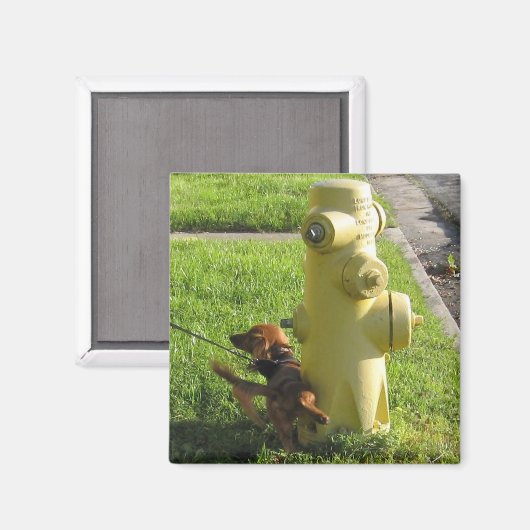 Hond en hydrant magneet (Voorkant / Achterkant)