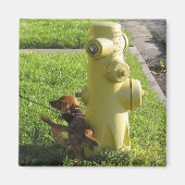 Hond en hydrant magneet (Voorkant)