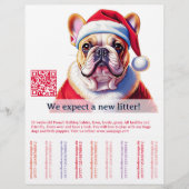 Hond en kat flyer (Voorkant)