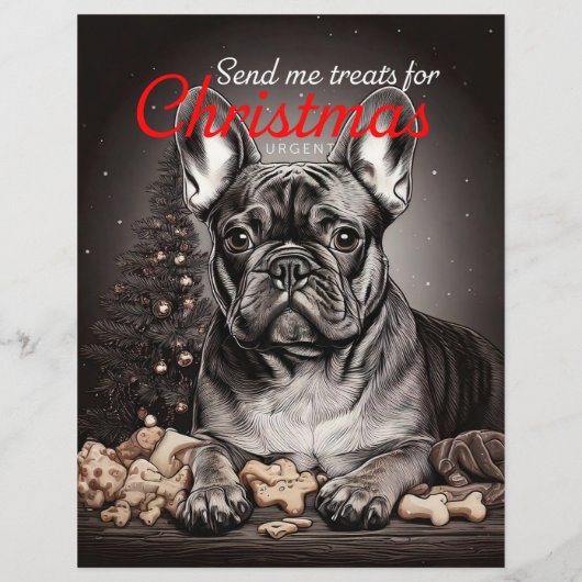 Hond en kat flyer (Achterkant)