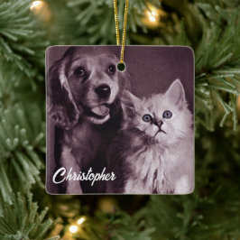 Hond en Kat, Gepersonaliseerd Opzoeken Keramisch Ornament