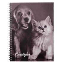 Hond en Kat, Gepersonaliseerd Opzoeken