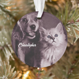 Hond en Kat, Gepersonaliseerd Opzoeken Ornament