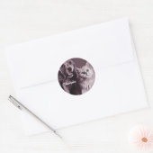 Hond en Kat, Gepersonaliseerd Opzoeken Ronde Sticker (Envelop)