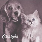 Hond en Kat, Gepersonaliseerd Opzoeken Sticker (Voorkant)