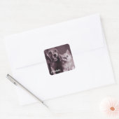 Hond en Kat, Gepersonaliseerd Opzoeken Vierkante Sticker (Envelop)