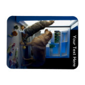 Hond en Kat Huis Alleen op Midnight Pet Sitter Magneet (Horizontaal)
