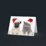 Hond en kat in het Pet met rode kerst Feestdagen Kaart<br><div class="desc">Kat en hond in rood kerstpet op een witte achtergrond © en ® Bigstock® - Alle rechten voorbehouden.</div>