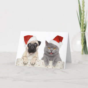 Hond en kat in het Pet met rode kerst Feestdagen Kaart