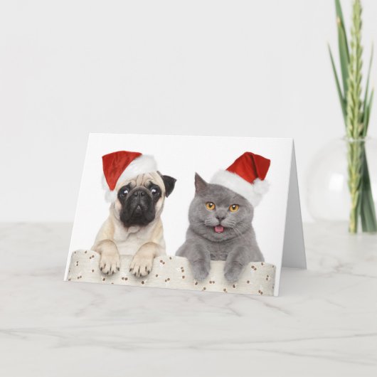 Hond en kat in het Pet met rode kerst Feestdagen Kaart (Voorkant)