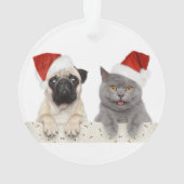 Hond en kat in het Pet met rode kerst Ornament (achterkant)