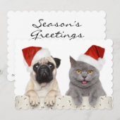 Hond en Kat in het Rode Pet van Kerstmis Feestdagenkaart (Voorkant / Achterkant)