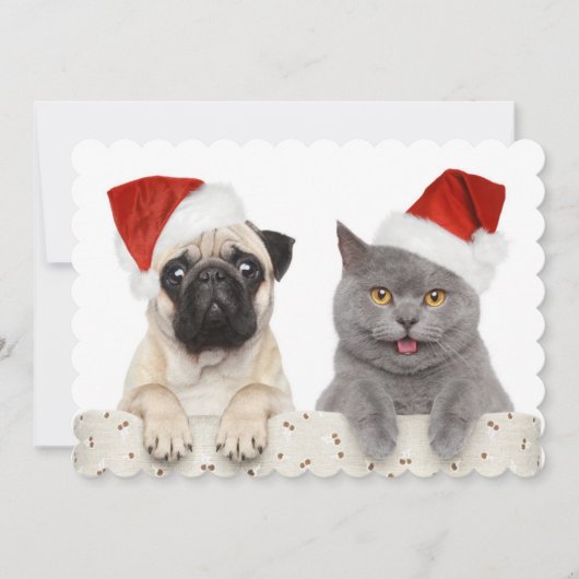 Hond en Kat in het Rode Pet van Kerstmis Feestdagenkaart (Voorkant)
