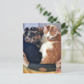 Hond en kat, Postcrossing Briefkaart (Staand voorkant)