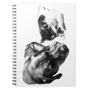 Hond en kat rusten samen monochroom Notitieboek