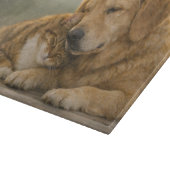 Hond en Kat Samen Rustend Snijplank van Glas (Hoek)