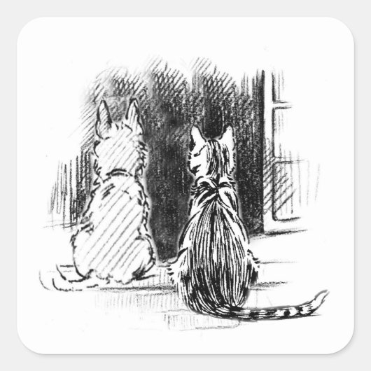 Hond- en kattenblik in het raam, Pet Sympathie Vierkante Sticker (Voorkant)